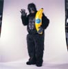 GORILLA