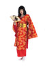 GEISHA DELUXE COSTUME