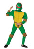 RAPHAEL