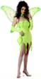 EMERALD FAIRY