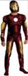 IRON MAN QUALITY MUSCLE COSTUME