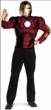 IRON MAN ADULT MOVIE COSTUME
