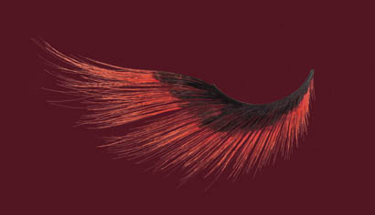 RED TIP EXTRA LONG BLACK EYELASHES