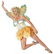AUTUMN FAIRY