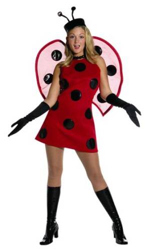 LADY BUG