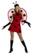 LADY BUG