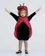 LADY BUG