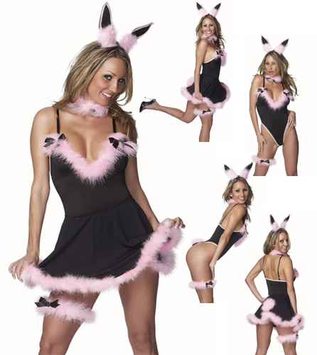 PLAY BUNNY