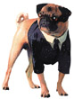 MEN IN BLACK II "FRANK THE DOG" *out of stock*