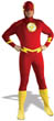 THE FLASH
