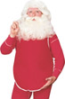 SANTA'S BELLY