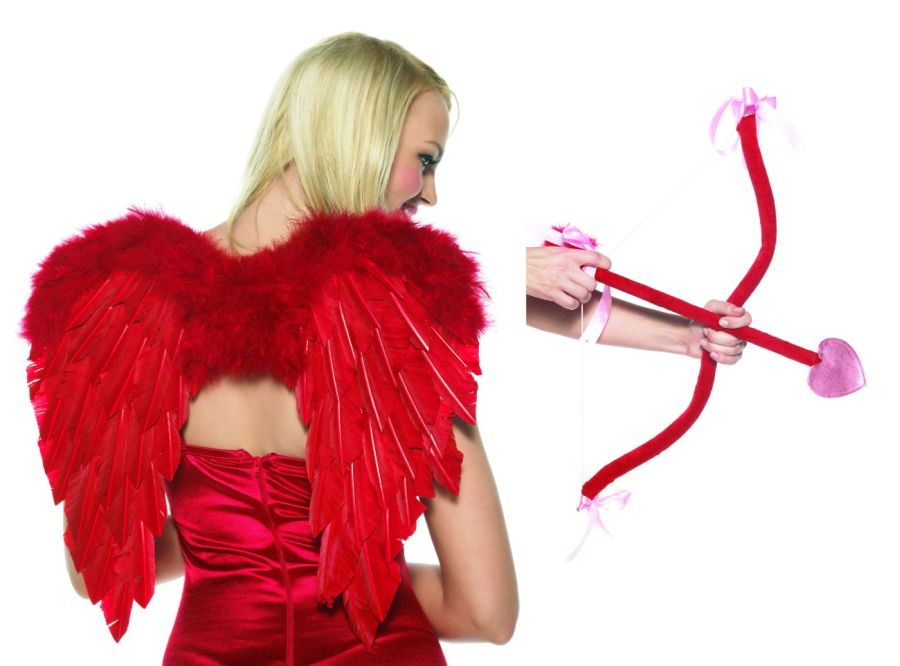 CUPID COSTUME KIT FOR ADULTS