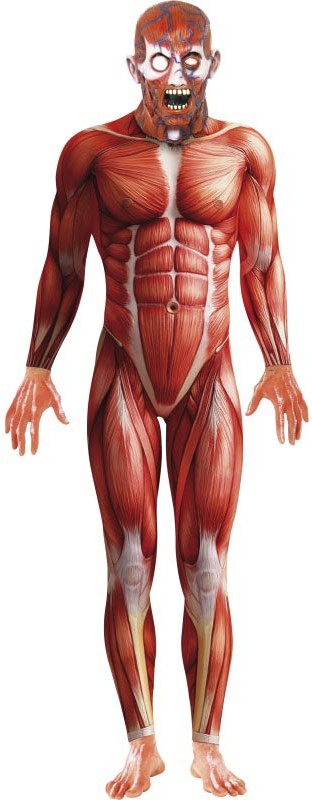 ANATOMY MAN