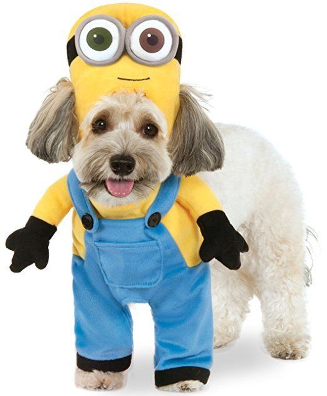 DESPICABLE ME WALKING MINION BOB COSTUME FOR PETS