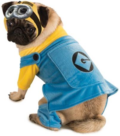 MINION DOG