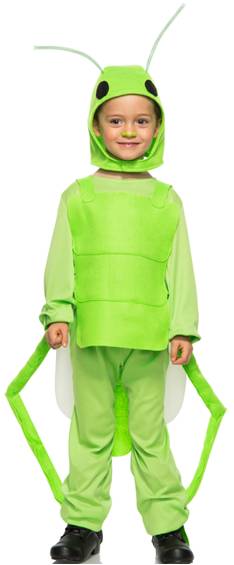 GRASSHOPPER COSTUME FOR BOYS OR GIRLS