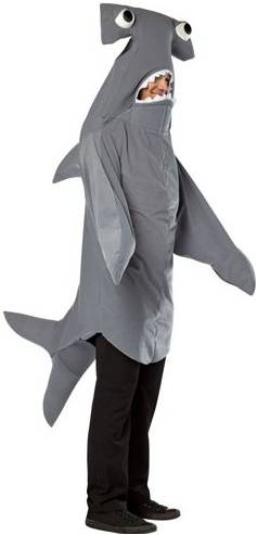 HAMMER HEAD SHARK