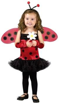 LOVELY LADY BUG