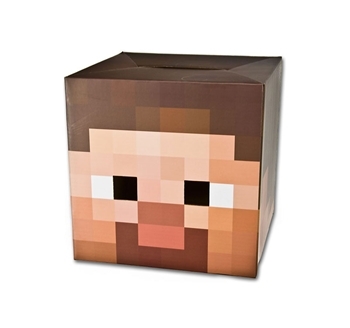 MINECRAFT STEVE HEAD