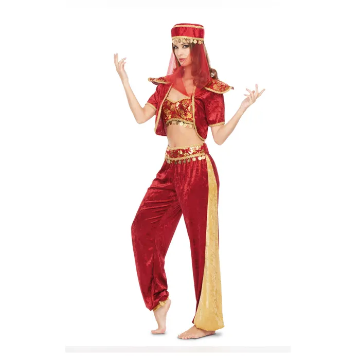 BELLY DANCER HAREM ODALISQUE COSTUME FOR WOMEN