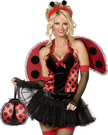 LADY BUG HALTER