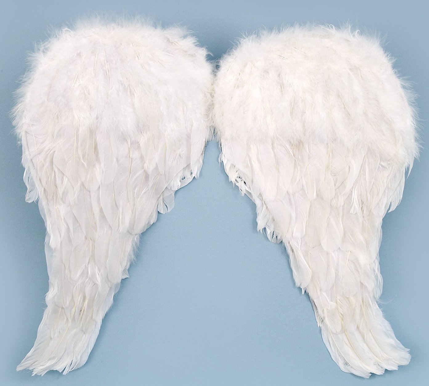 ANGEL WINGS