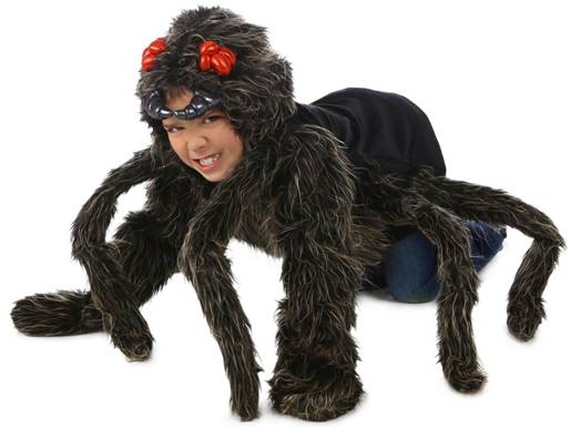 TARANTULA HOODIE SPIDER COSTUME FOR BOYS