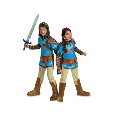 LEGEND OF ZELDA LINK, TEARS OF THE KINGDOM COSTUME